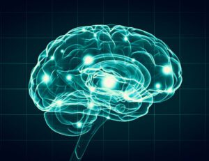 Desvelar los secretos del cerebro: El papel del neuropsicólogo