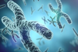 Permutación cromosómica y evolución: La clave para entender la diversidad genética