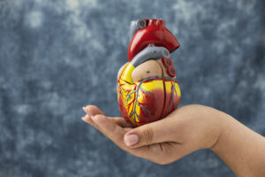 ¿En qué lado está el corazón? Descubre la verdad sobre la ubicación del corazón en el cuerpo humano